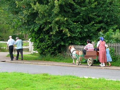 Darvell, Hutterite, Bruderhof, English Amish - pony pulling cart, Robertsbridge, East Sussex