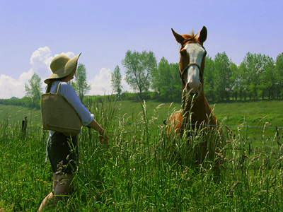 Dorry and horse near Fairbourne Manor Farm