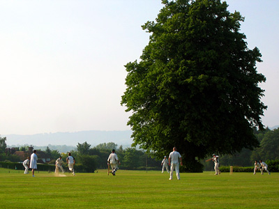 Cricket match on the grounds of Leeds Castle