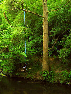 Swing near bridge over Roman River in Chest Wood near Layer de la Haye, Colchester, Essex, England, United Kingdom