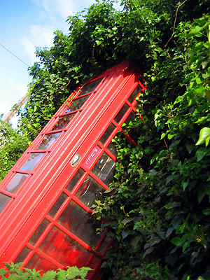 Red phone box, Fingringhoe, Colchester, Essex, England, United Kingdom