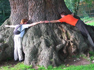 Hugging the oak at Fingringhoe