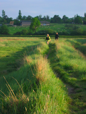 Marsh land between Fingringhoe and Rowhedge, Colchester, Essex, England, United Kingdom