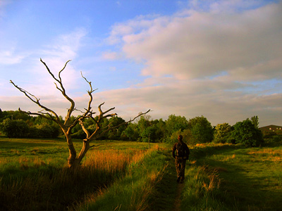 Sunset on path from Fingringhoe to Rowhedge, Colchester, Essex, England, United Kingdom