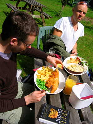 Fish and chips, outdoor lunch, beer garden, Donkey and Buskins pub, Layer de la Haye, Colchester, Essex, East Anglia, England, Britain, UK