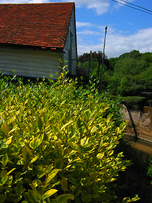 Mill house, Roman River, Malting Green, Layer de la Haye, Colchester, Essex, East Anglia, England, Britain, UK