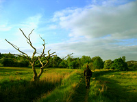 Following the path along the Roman River from Fingringhoe to Rowhedge