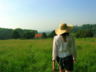 Footpath in Kent