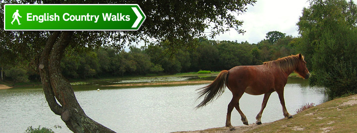 English Country Walks masthead